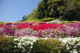 �����ۂ���̎l�G�ւ�